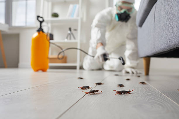 Commercial Kitchen Cockroach Control in Salida del Sol Estates